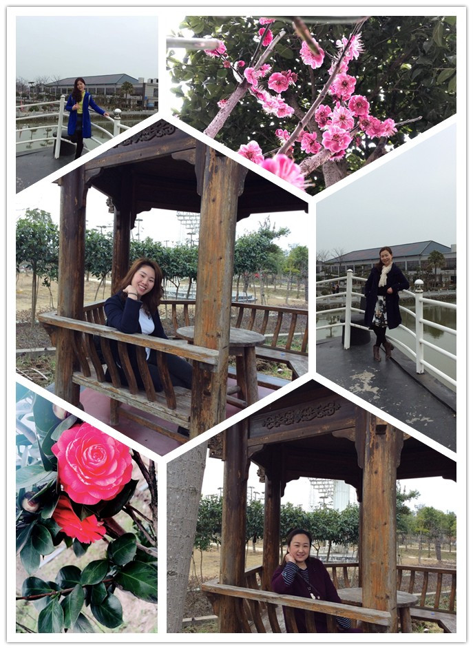 1552640007137606.png 图片7.png